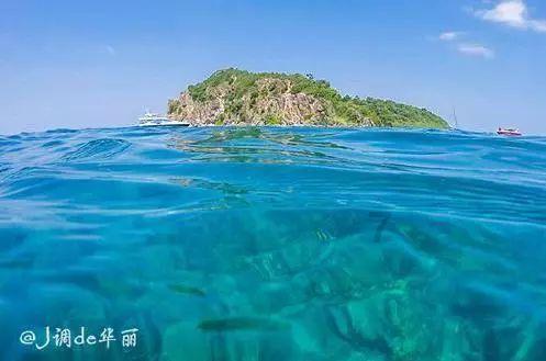 失恋可以成为假面骑士吗？-专业的问答平台